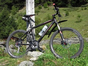 Bulls Copperhead 3 Bulls Copperhead 3