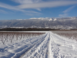 A vélo sur la neige
