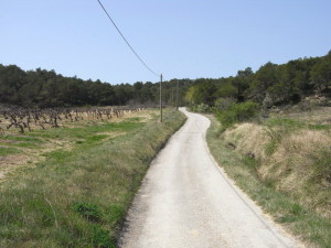 Dans les collines près de Séguret (Vaucluse) Genève Avignon