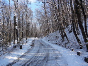A vélo sur la neige