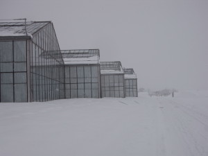 A vélo sur la neige