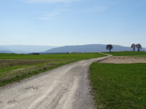 Sur le Mont Sion, entre la Croix-Biche et Chez Gresat Mont Sion