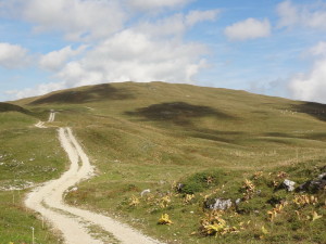 Route des crêtes 4
