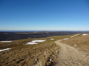 Près du col de Crozet (1500 m), 30 novembre 2016 Jura