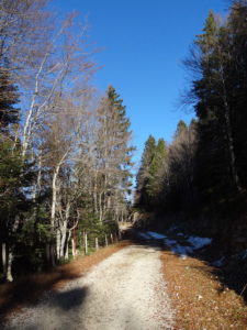 La piste entre le col de Combe Blanche et le chalet de la "Grande Grand" Combe Blanche