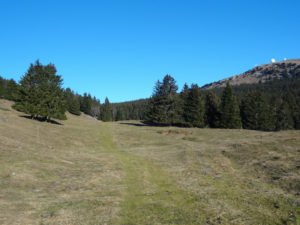 Le chemin débute dans le pâturage après Sonnailley au Prince La Dôle
