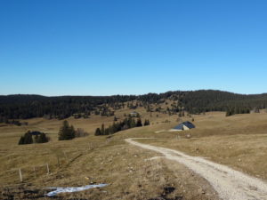 La jolie combe derrière La Dôle, depuis le chalet de la "Grande Grand" La Dôle