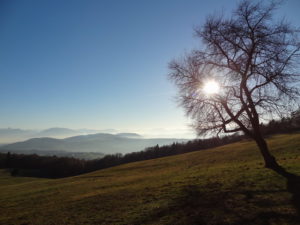 La prairie des Avenières, au-dessus de Cruseilles Salève