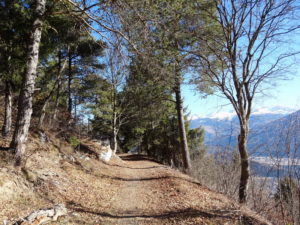 Le sentier du Bisse près d'Aven Conthey