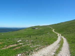 Piste d'alpage de la Maréchaude en direction de la Faucille Jura