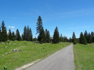 Entre la Givrine et la Combe des Amburnex Jura