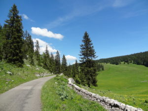 La route de la Combe des Amburnex Jura