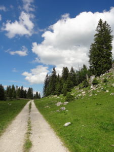 Juste après le chalet des Combes Jura