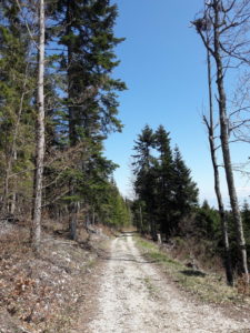 Sur Jura Bike le 1er mai cols de la région genevoise
