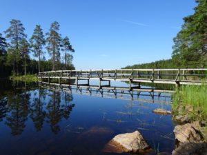 Tôt le matin au lac de Kloten Suède