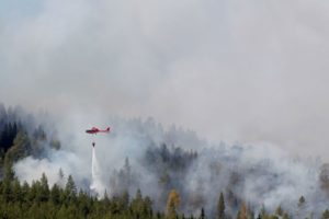 Feux de forêt en Suède (crédit photo : Mats Andersson) Suède